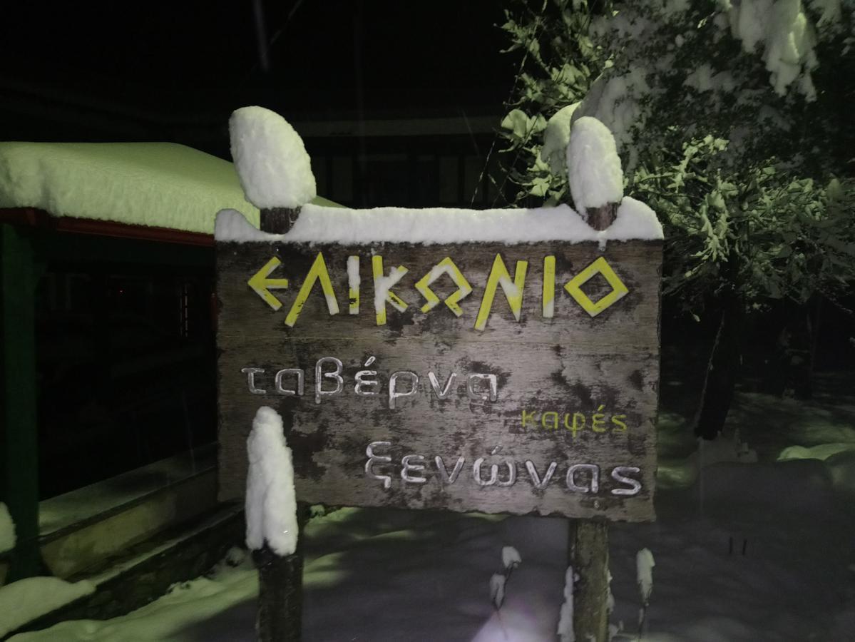 Elikonio Hotel Agia Anna  Exterior foto